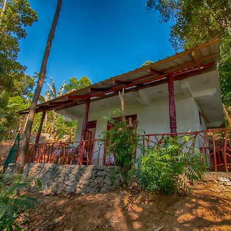 Dulmini Homestay Ella Exterior photo